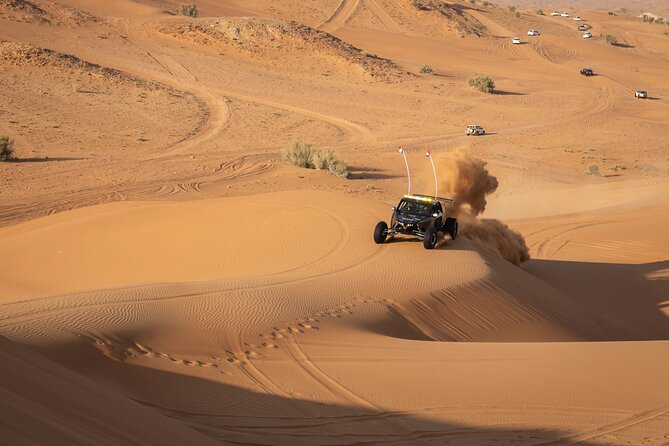 Dubai Long Self-Drive Quadbike with Camel and Falcon - A second ATV run across the red dunes