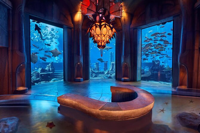 Dubai Lost Chambers Aquarium Admission E-Ticket - Marine life from the Arabian Gulf and Amazon
