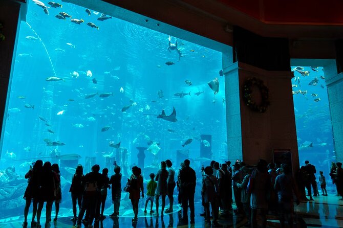Dubai Lost Chambers Aquarium Admission E-Ticket - Is the $22.49 ticket good value?