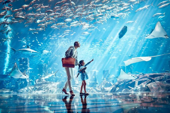 Dubai Lost Chambers Aquarium Admission E-Ticket - Families, crowds, and the mood inside