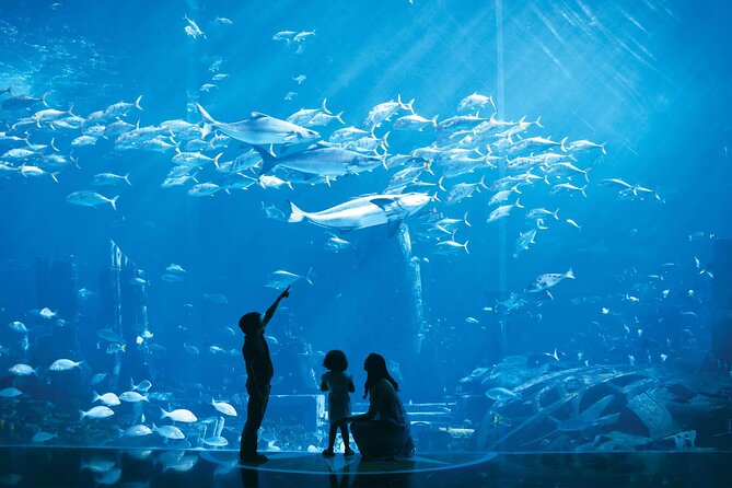 Dubai Lost Chambers Aquarium Admission E-Ticket - Practical planning for your visit
