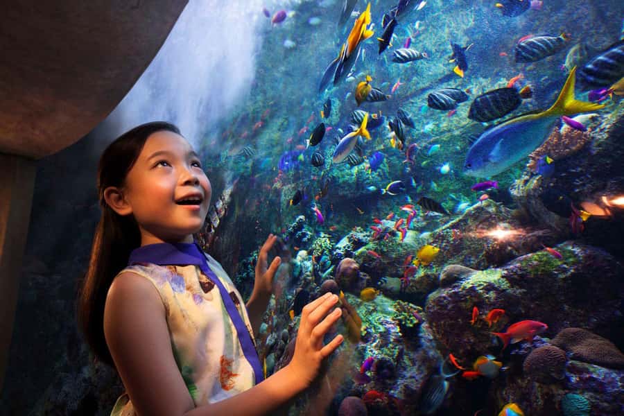 Dubai: Lost Chambers Aquarium Entry Ticket - What the Lost Chambers Aquarium is really like