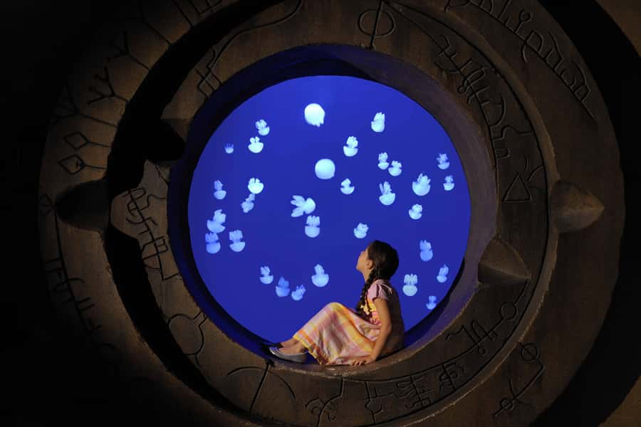 Dubai: Lost Chambers Aquarium Entry Ticket - The 21 exhibits and 14 Atlantis chambers