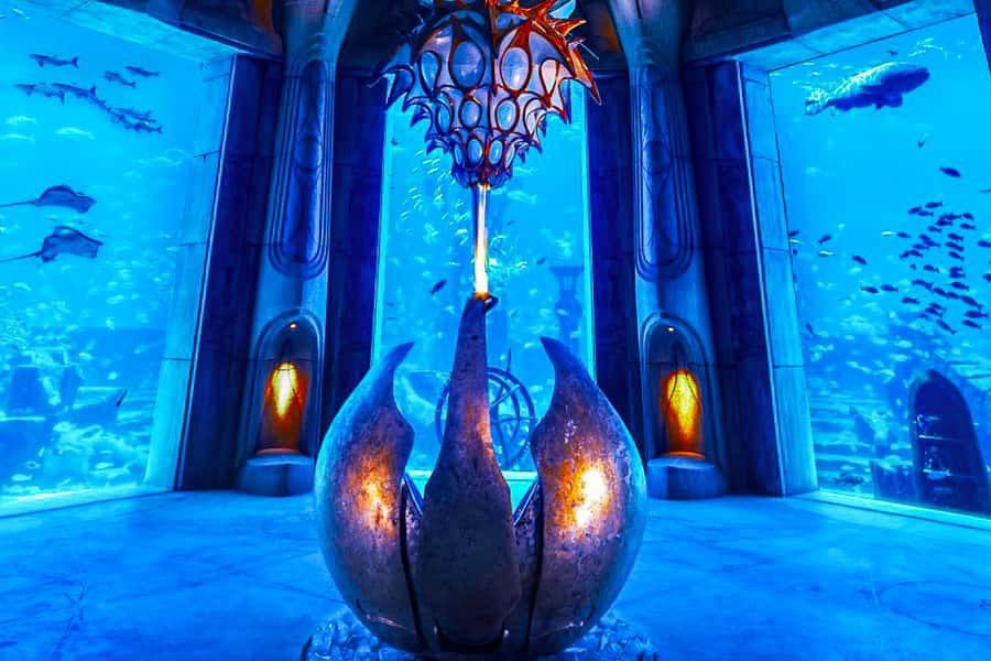 Dubai: Lost Chambers Aquarium Entry Ticket - Is the $45 ticket good value?