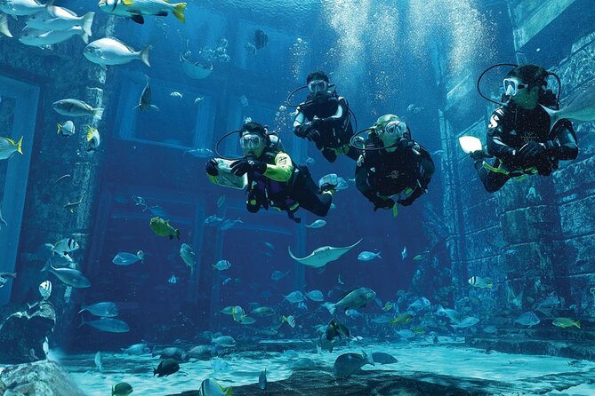 Dubai Lost Chambers Dive Explorer (Certification Required) - What your $326.98 buys at Atlantis The Palm