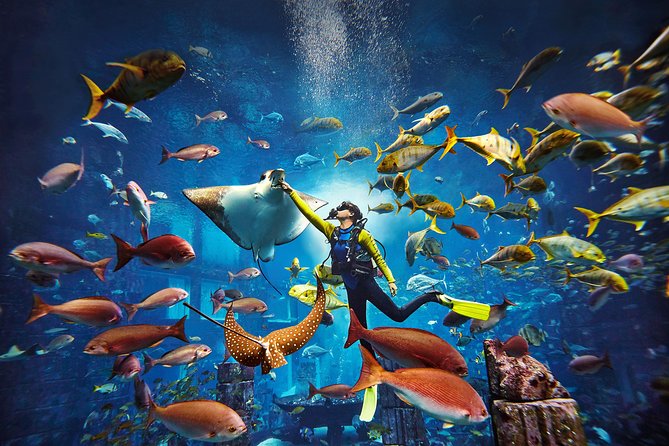 Dubai Lost Chambers Dive Explorer (Certification Required) - Paperwork, wetsuits, and the safety briefing