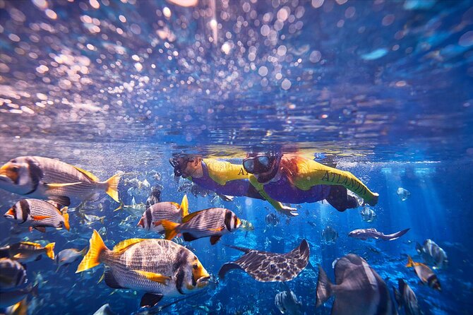 Dubai Lost Chambers Ultimate Snorkel Experience - Reaching the Ambassador Lagoon at Atlantis The Palm