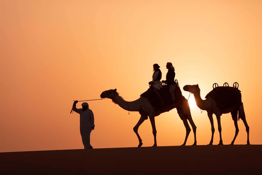 Dubai: Luxury Safari with Michelin-Curated 5-Course Dinner - Is $531 a fair price?