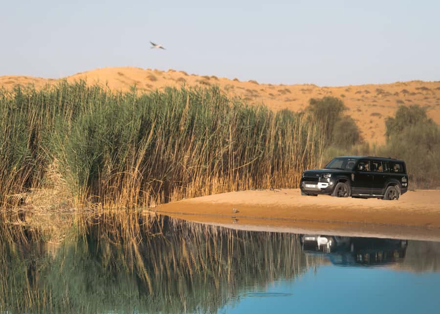 Dubai: Luxury Safari with Michelin-Curated 5-Course Dinner - Why this safari feels different from a standard Dubai desert tour