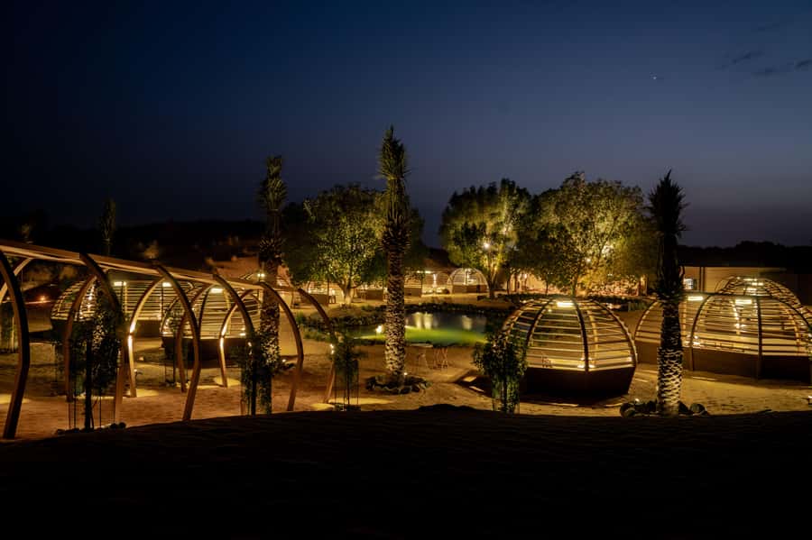 Dubai: Luxury Safari with Michelin-Curated 5-Course Dinner - The Land Rover drive through the conservation reserve