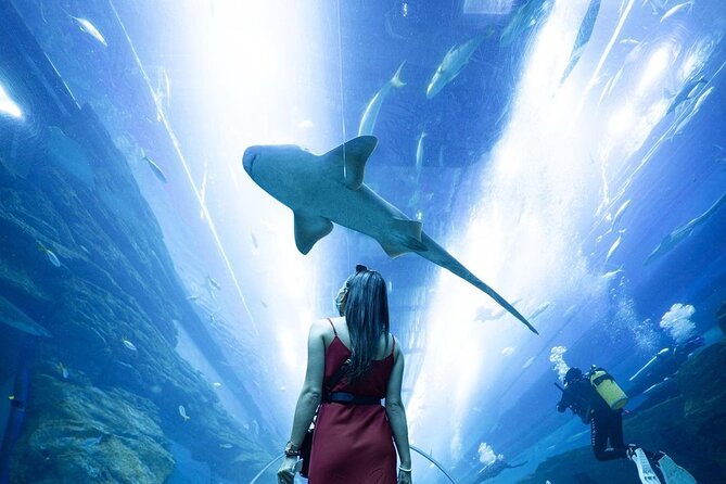 Dubai Mall Aquarium and Underwater Zoo Ticket - How much time should you allow?
