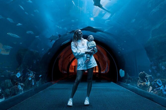Dubai Mall Aquarium and Underwater Zoo Ticket - Getting there and handling the ticket