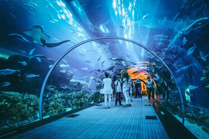 Dubai Mall Aquarium and Underwater Zoo Ticket - Meeting King Croc in the Underwater Zoo
