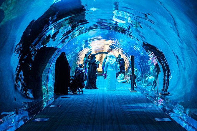 Dubai Mall Aquarium & Underwater Zoo with Penguin Cove Tickets - Penguin Cove and the question of extra-cost encounters