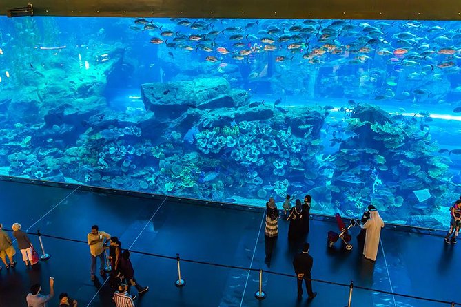 Dubai Mall Aquarium & Underwater Zoo with Penguin Cove Tickets - Is $54.52 a fair price?