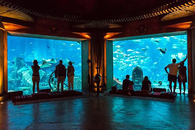 Dubai Mall Aquarium & Underwater Zoo with Penguin Cove Tickets - Families, couples, and independent visitors