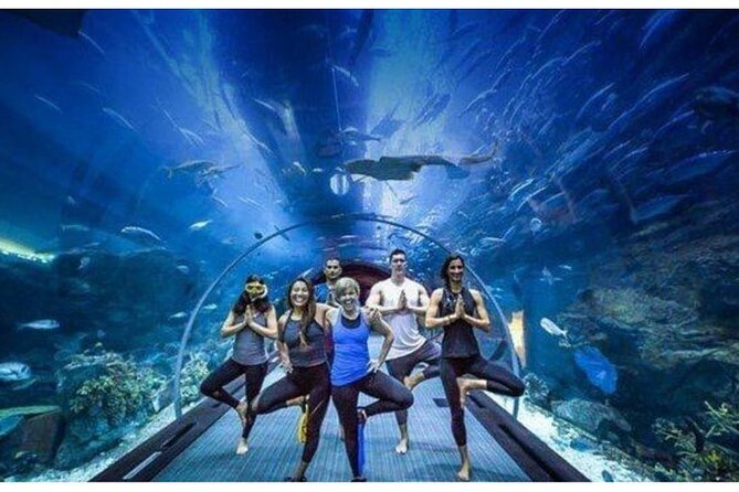 Dubai Mall Aquarium with Penguin Cove + Skyview Ticket - What this Dubai combo actually includes