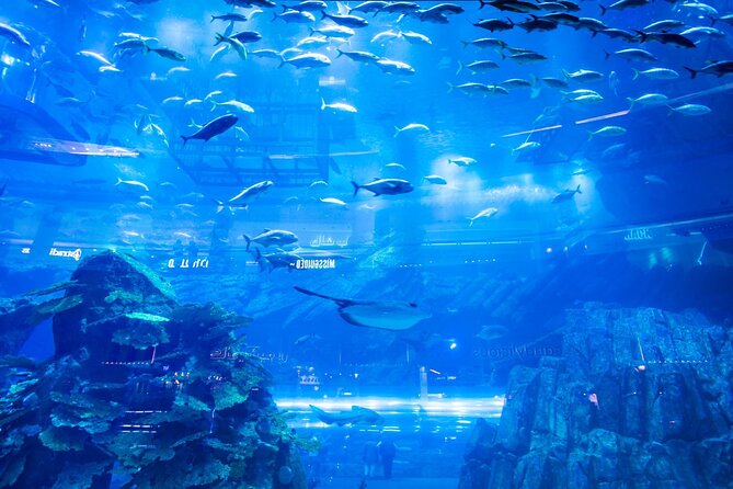 Dubai Mall Aquarium with Penguin Cove + Skyview Ticket - The glass slide is the best extra