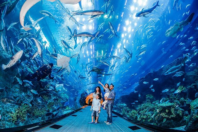Dubai Mall Aquarium with Penguin Cove + Skyview Ticket - Start with the Dubai Aquarium’s giant tank