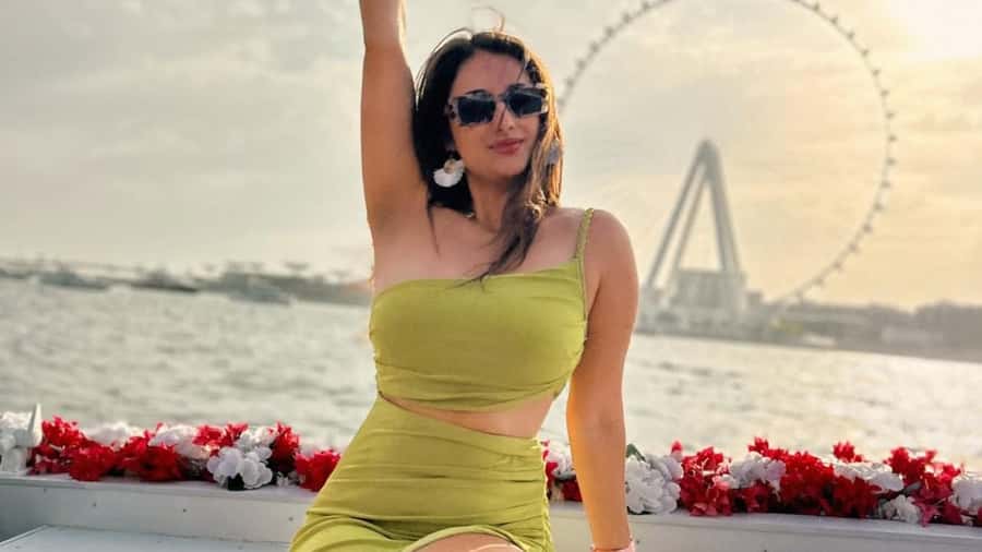 Dubai Marina: Private Boat Tour with Flower - Dubai Harbour and the big cruise ships