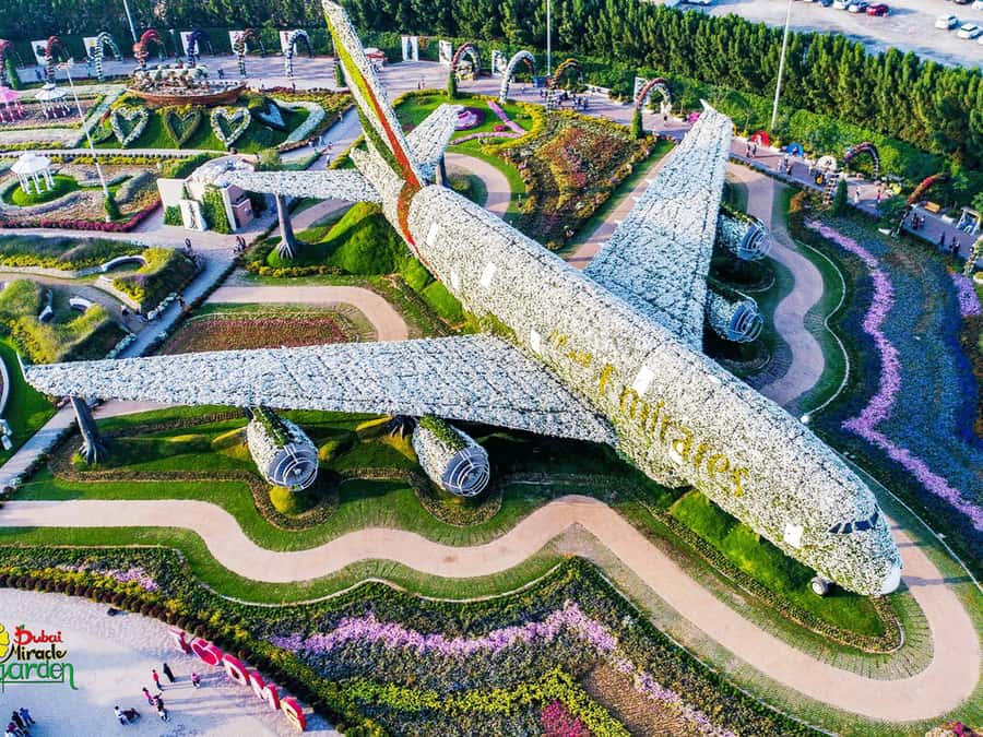 Dubai: Miracle Garden Entry Ticket with Hotel Transfer - Key points to know before you book