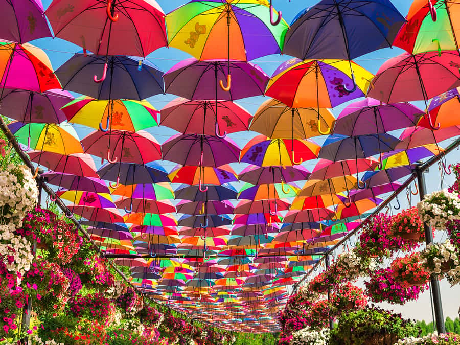 Dubai: Miracle Garden Entry Ticket with Hotel Transfer - How long should you stay?