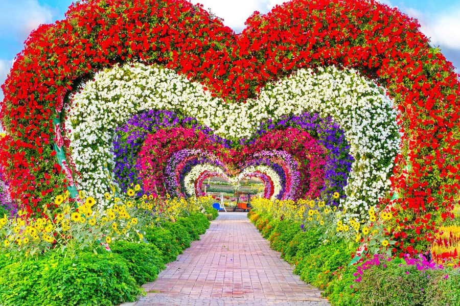 Dubai: Miracle Garden, Global Village, and Dubai Frame - Why this Dubai combination works