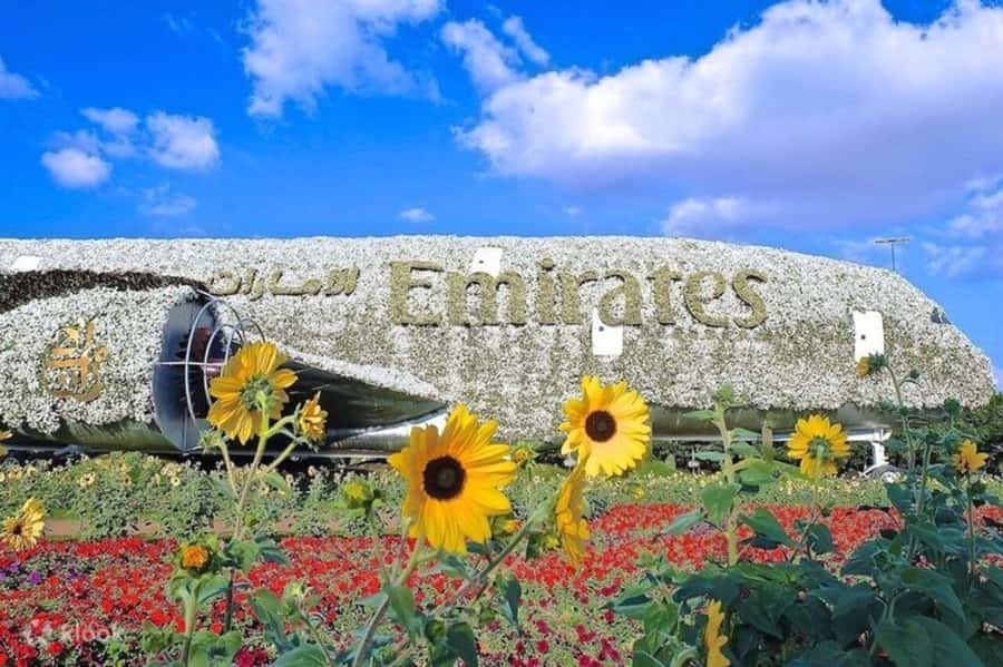 Dubai: Miracle Garden, Global Village, and Dubai Frame - Who will enjoy this day most?