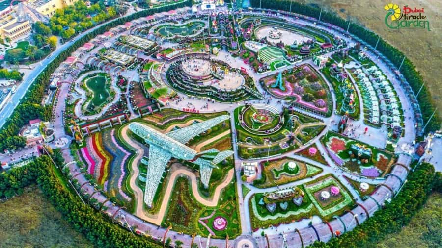 Dubai: Miracle Garden, Global Village, and Dubai Frame - Miracle Garden’s flowers in a desert setting