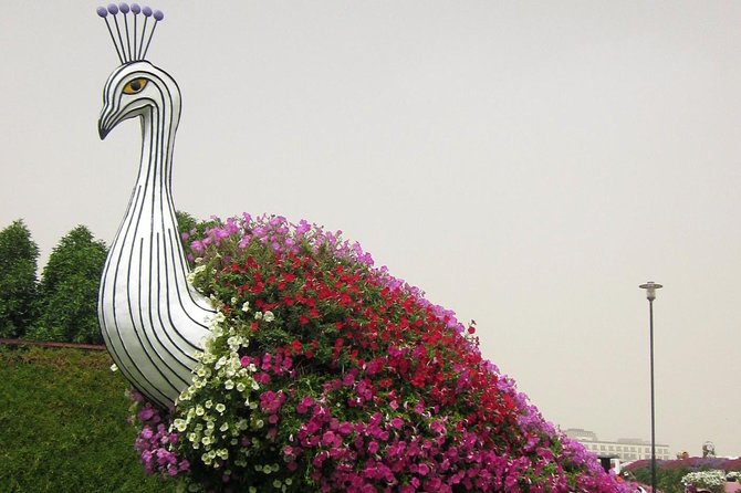 Dubai Miracle Garden Self-Guided Tour with Ticket with Transfer - Set your own pace through the displays