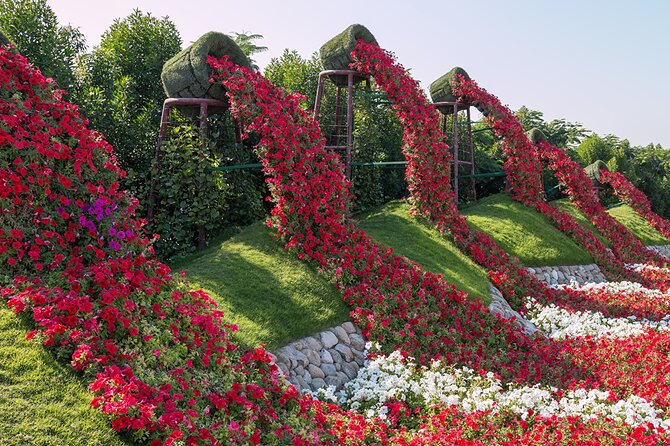 Dubai Miracle Garden Self-Guided Tour with Ticket with Transfer - The most memorable photo opportunities