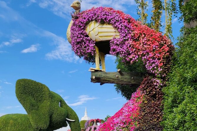 Dubai Miracle Garden Skip the Line E-Ticket and Transport Options - Shared or Private Transport: Which Option Fits You?