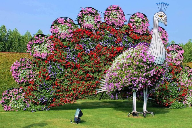 Dubai Miracle Garden with private round trip transfers - Private pickup from your Dubai hotel