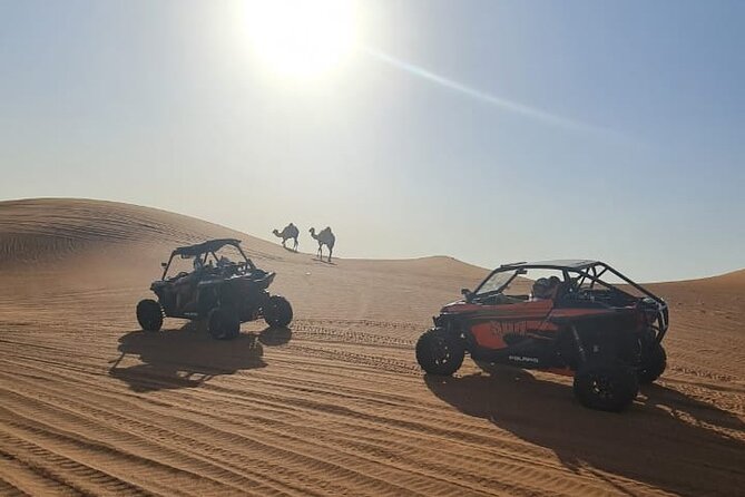 Dubai Morning Buggy Dunes Safari with Sandboarding & Camel Ride - Sandboarding on the high dunes