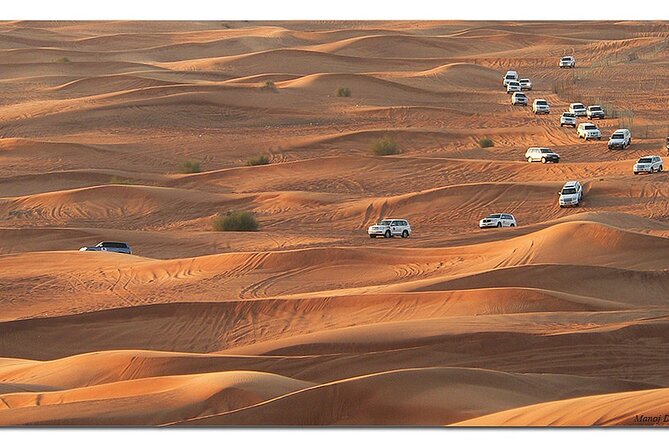 Dubai Morning Desert Safari: Camel Ride & Sandboarding! - Camel riding adds a traditional touch