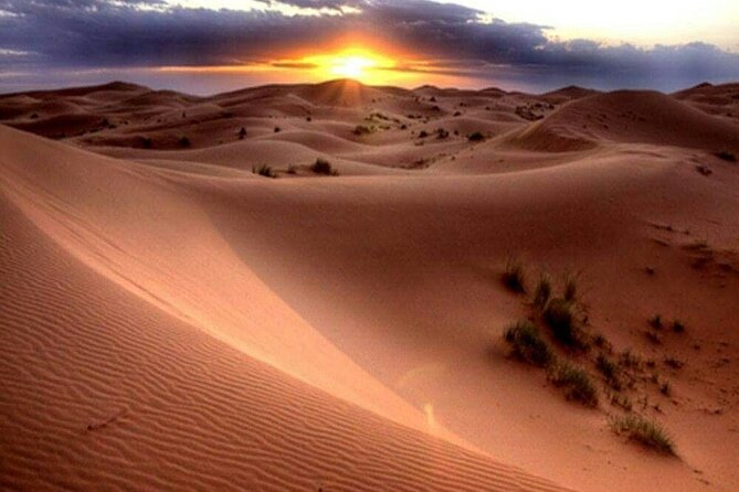 Dubai Morning Desert Safari: Camel Ride & Sandboarding! - What the $39 price really covers