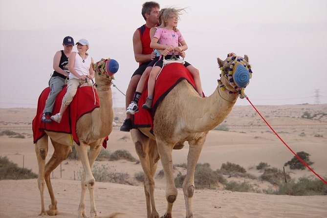 Dubai: Morning Desert Safari with Camel Ride and Sand boarding - Key points at a glance