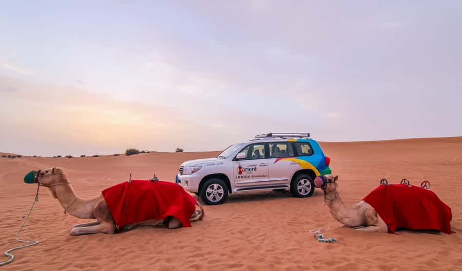 Dubai: Morning Desert Safari with Camel Ride & Sandboarding - Is $50 a Fair Price?
