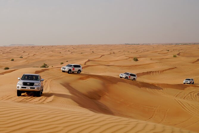 Dubai Morning Desert Safari with Quad Biking & More Activities - Is $55 good value?