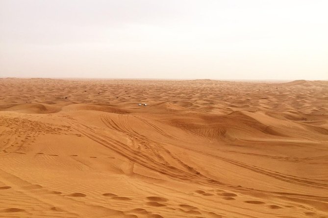 Dubai Morning Desert Small-Group Tour with Dune Bash - Key points to know before booking