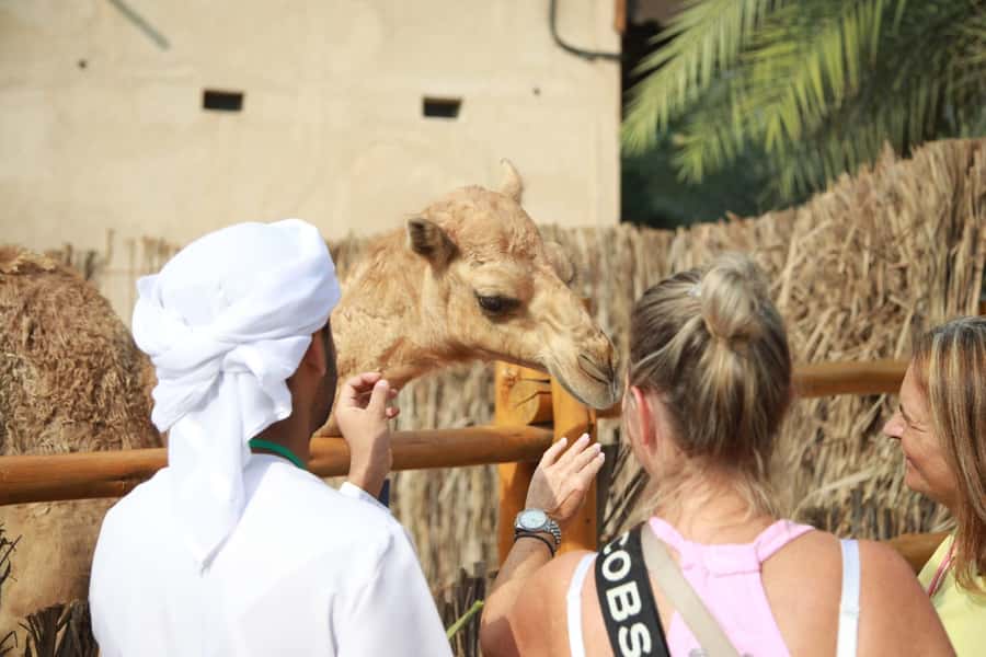 Dubai: Old City Walking Tour with Abra Ride - Key points to know before you book