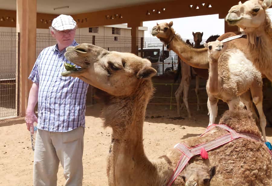 Dubai: Old City Walking Tour with Abra Ride - Why old Dubai deserves three hours