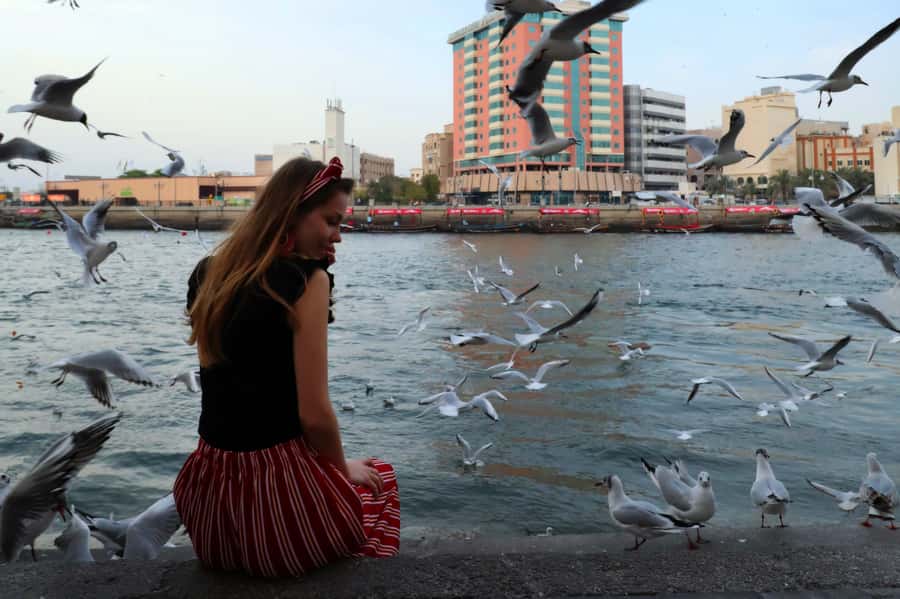 Dubai: Old & Modern Guided Half-Day City Tour - The Museum of the Future, with limited indoor access