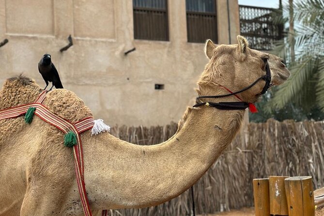 Dubai Old Town Walking Tour with Abra ride, Spice and Gold Souk - Textile Souk: color, bargaining, and shopping pressure
