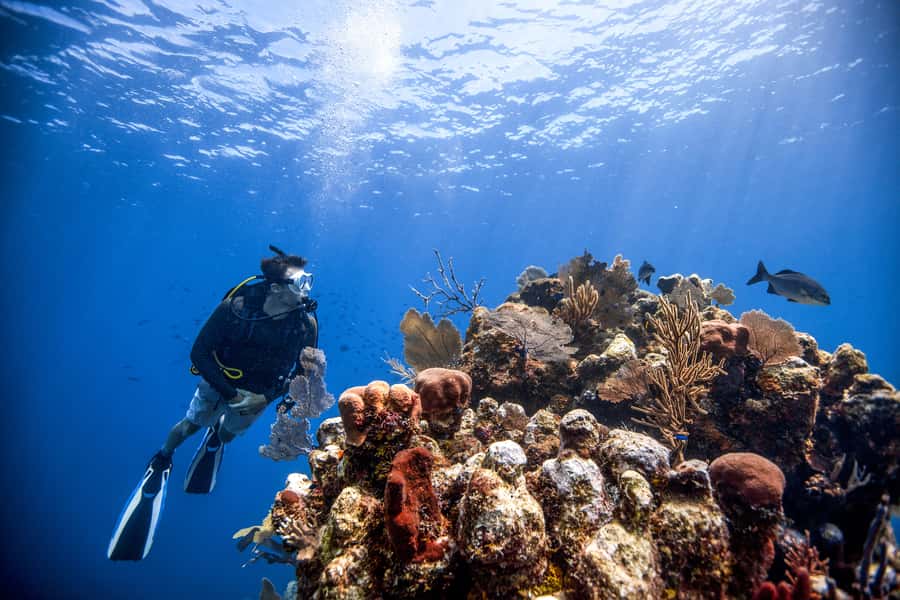 Dubai: PADI Open Water 18-Meter Diving Certification - Who should choose this certification