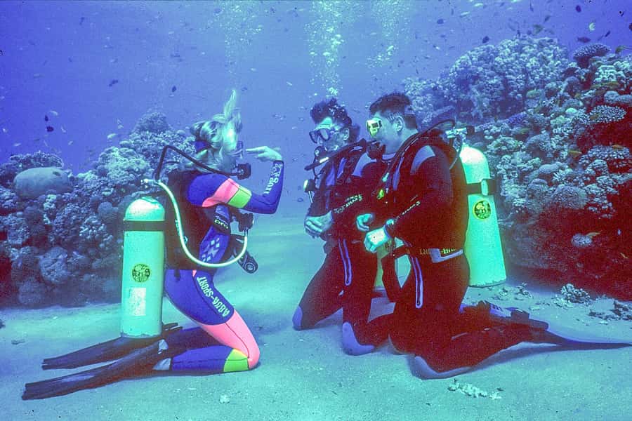Dubai: PADI Open Water 18-Meter Diving Certification - Starting at Nemo Diving Center on the Palm