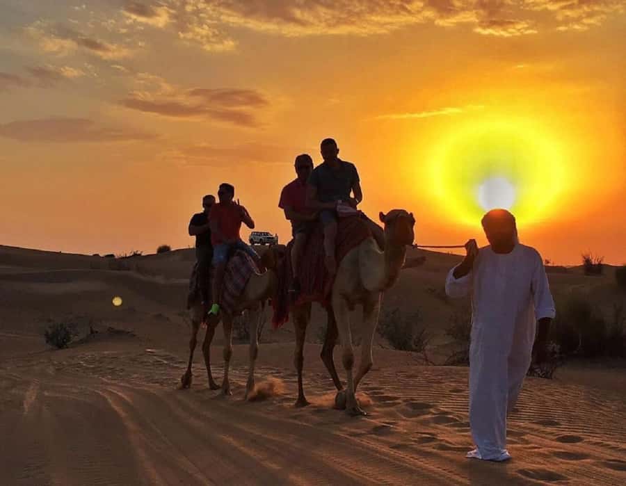 Dubai: Polaris RZR and Sandboarding Desert Adventure - Who will enjoy this most