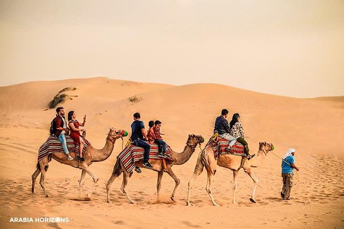 Dubai Premium Desert Safari with Live shows & Gourmet Dinner - Key points at a glance