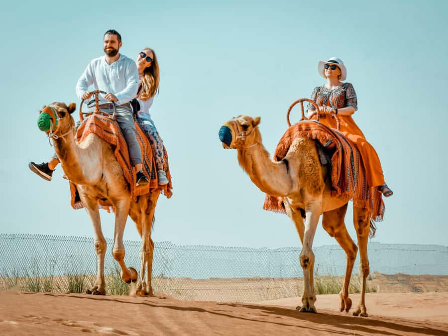 Dubai: Premium Red Dune Safari with Sandboarding & BBQ - What the 40-minute dune-bashing ride feels like