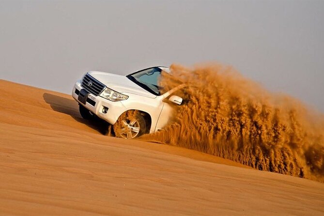 Dubai Premium Red Dunes Safari Camel Ride and BBQ Dinner - Lahbab and the short camel introduction